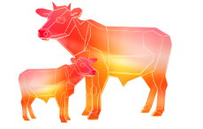 Сельское хозяйство